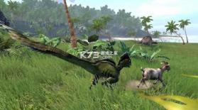 原始岛屿 v0.0.9 下载安装 截图