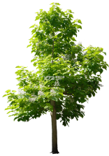 米塔：恐怖故事高质量移植原版安装器 v2.0.0 下载手机版 截图