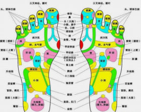 甘露音乐 v1.1.0 下载免费 截图