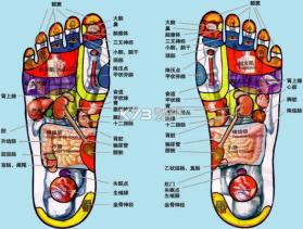 甘露音乐 v1.1.0 下载免费 截图