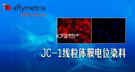 企员通 v3.7.7 下载官方版 截图