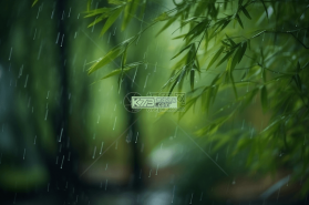 雨中冒险：回归(Steam移植) v1.0.5 下载手机版 截图